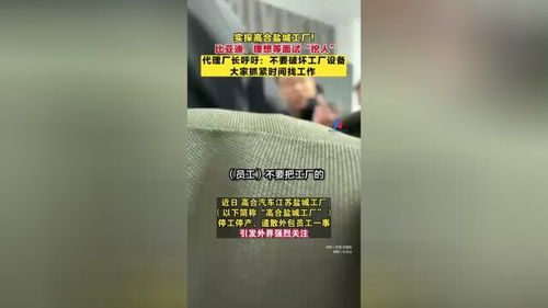 高合鹽城工廠直擊 比亞迪理想現(xiàn)場(chǎng)“挖人”，代理廠長(zhǎng)稱丁磊仍在上海尋求出路