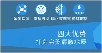 錦池魚池過濾器 工廠直營、代理加盟與專業設計服務一體化解決方案